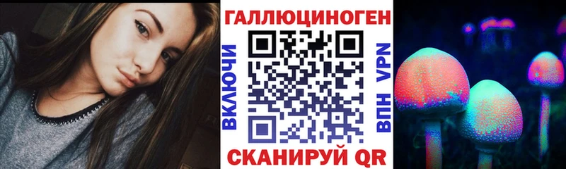 omg рабочий сайт  Урень  Псилоцибиновые грибы Psilocybine cubensis 